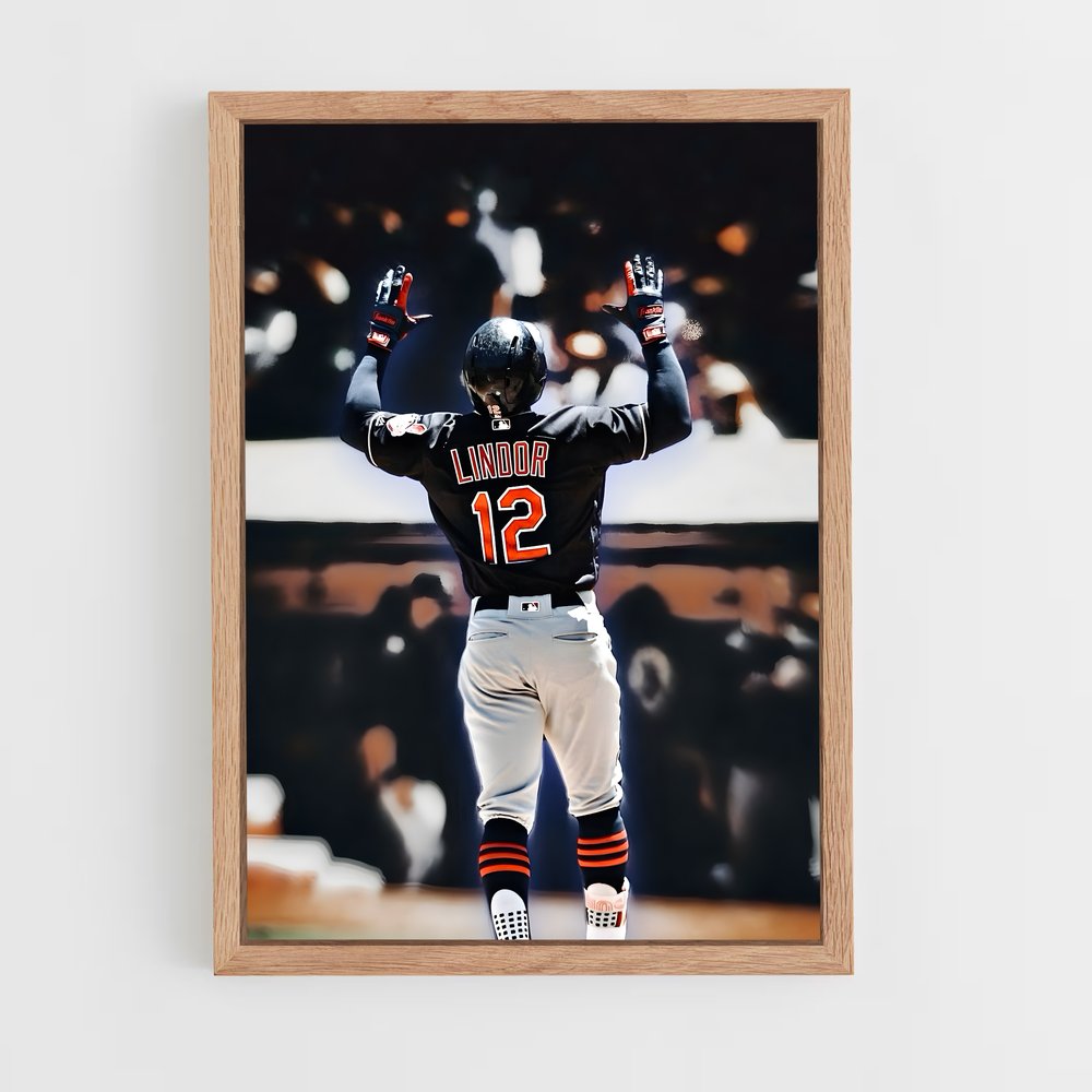 Poster La Fête du Home Run – affiche Baseball (vue 4)